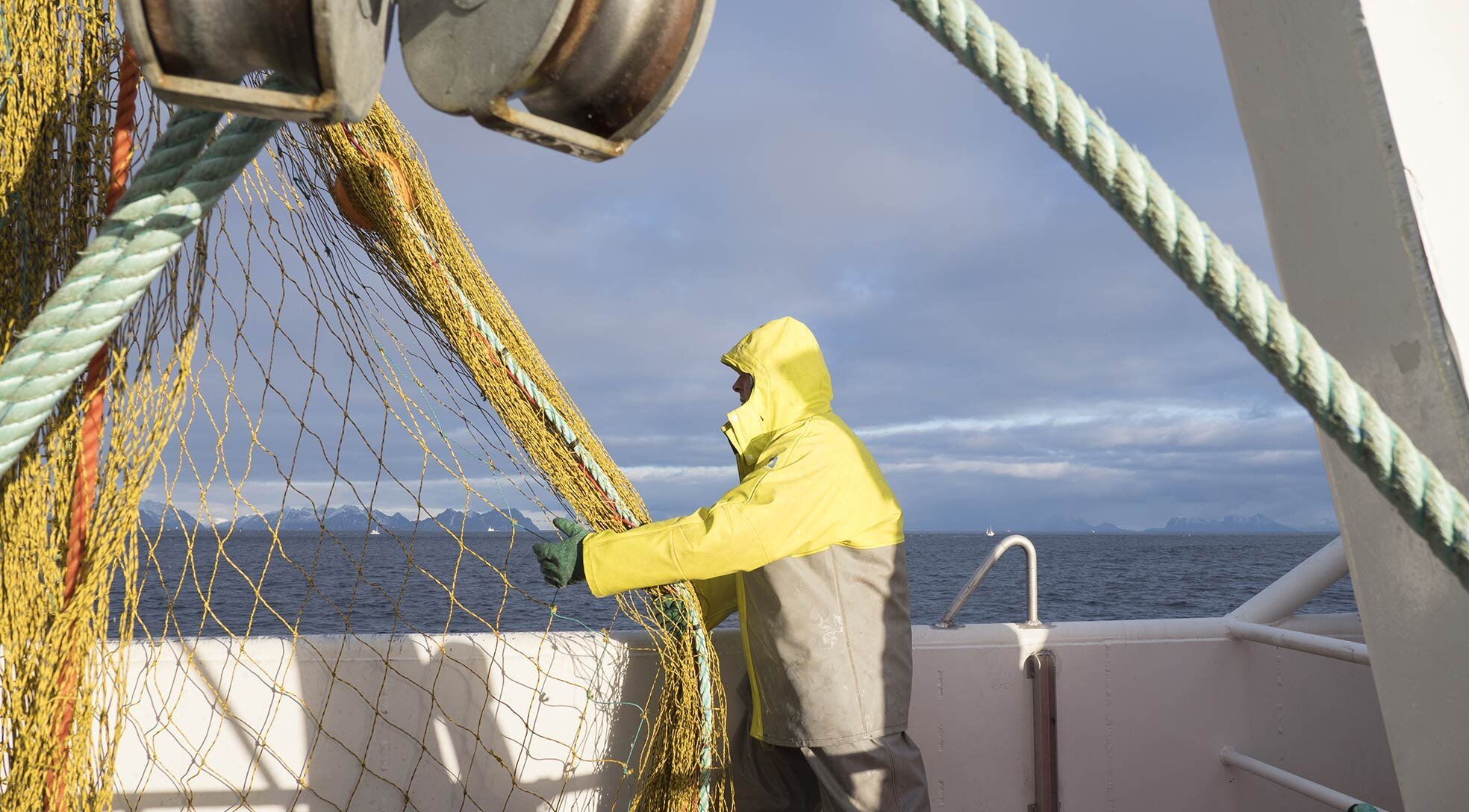 完美的生存环境